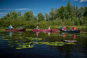 Group of people in canoes