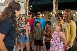 Group of parents and children observing owl being presented by handler