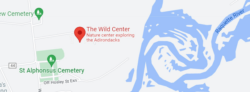 Map of The Wild Center and surrounding area