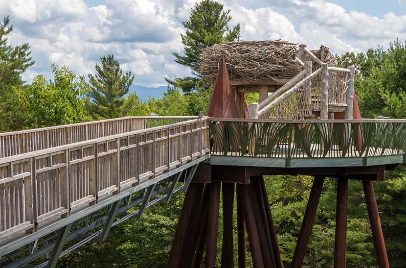 Side view of Wild Walk elevated walkway and nest