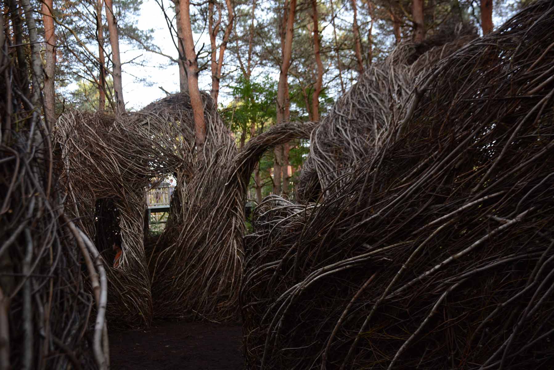 Interior view of Patrick Dougherty's work "Hopscotch" at the Wild Center