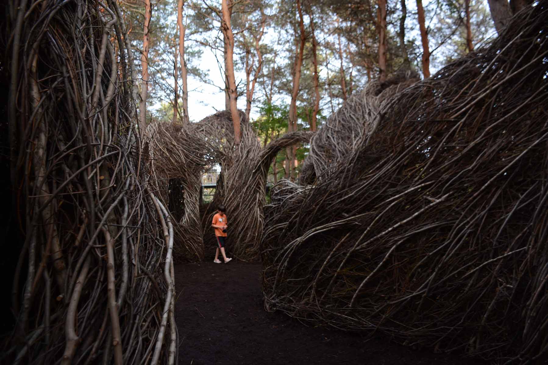 Child walking through Patrick Dougherty's work "Hopscotch" at the Wild Center