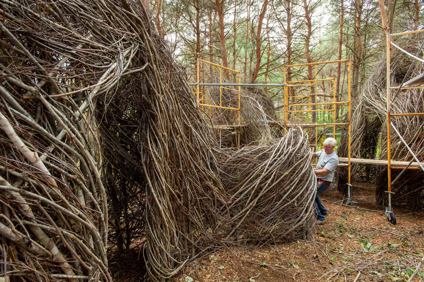 Patrick Dougherty constructing his work "Hopscotch"