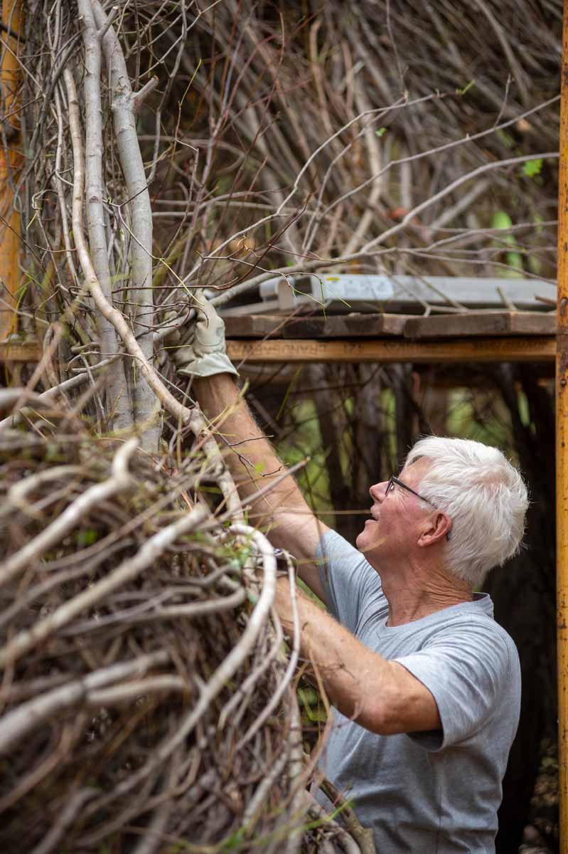 Patrick Dougherty constructing his work "Hopscotch"