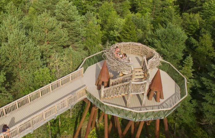 Aerial view of the Wild Walk elevated walkway