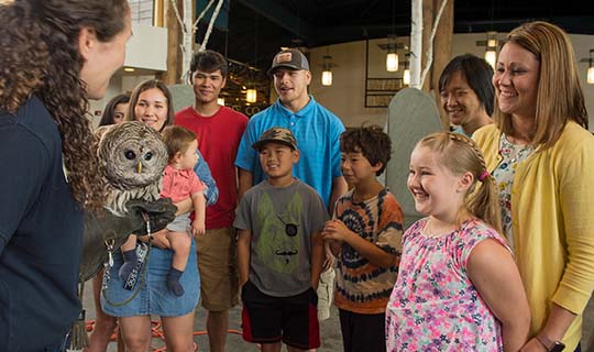 Group of parents and children observing owl being presented by handler