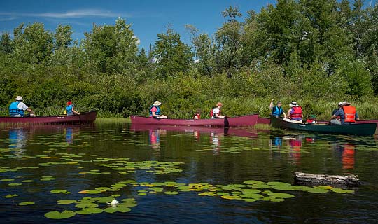 Group of people in canoes