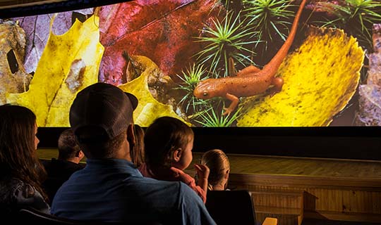 Audience watching documentary in Flammer Theater