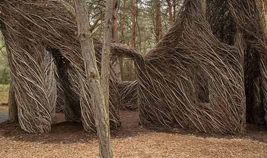 Closeup of "Hopscotch" stickwork by Patrick Dougherty