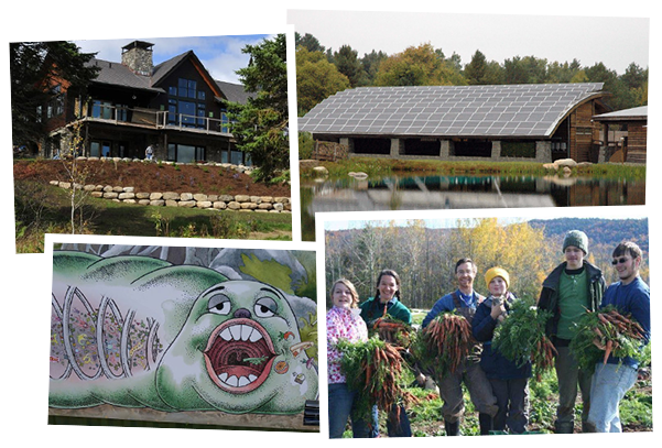 Collage of buildings and exhibits at Wild Center