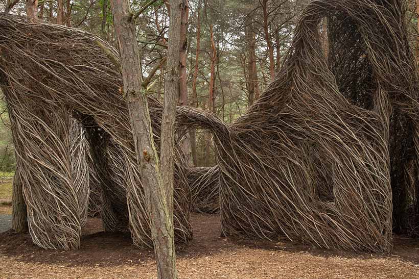 Closeup of "Hopscotch" stickwork by Patrick Dougherty