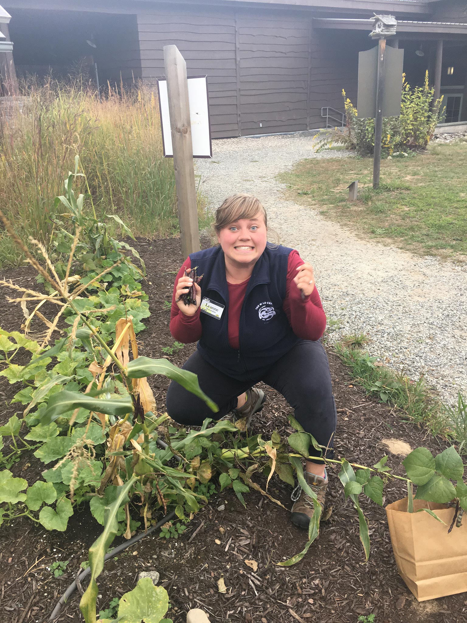 Woman crouching in garden holding up lima beans