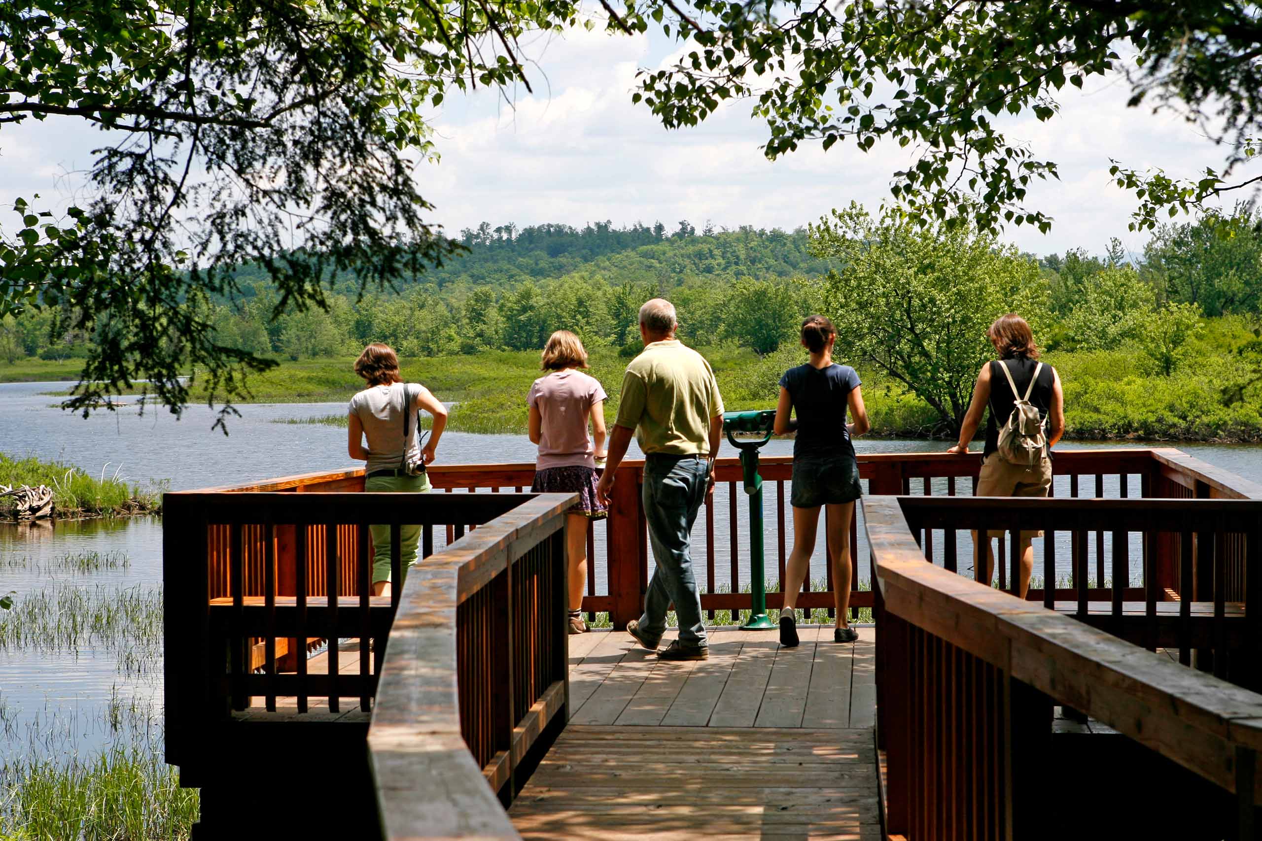 Family of five on trail lookout observing waterfront