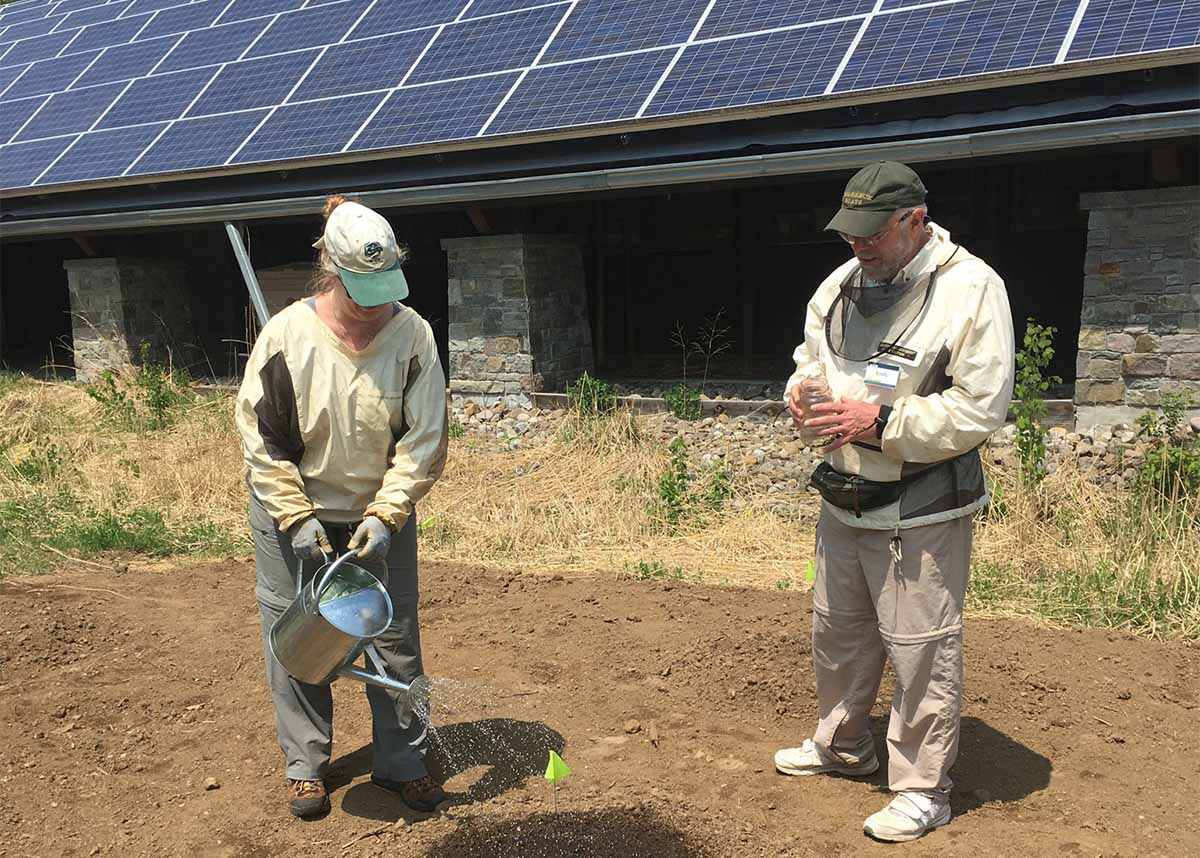 Two Wild Center volunteers watering garden