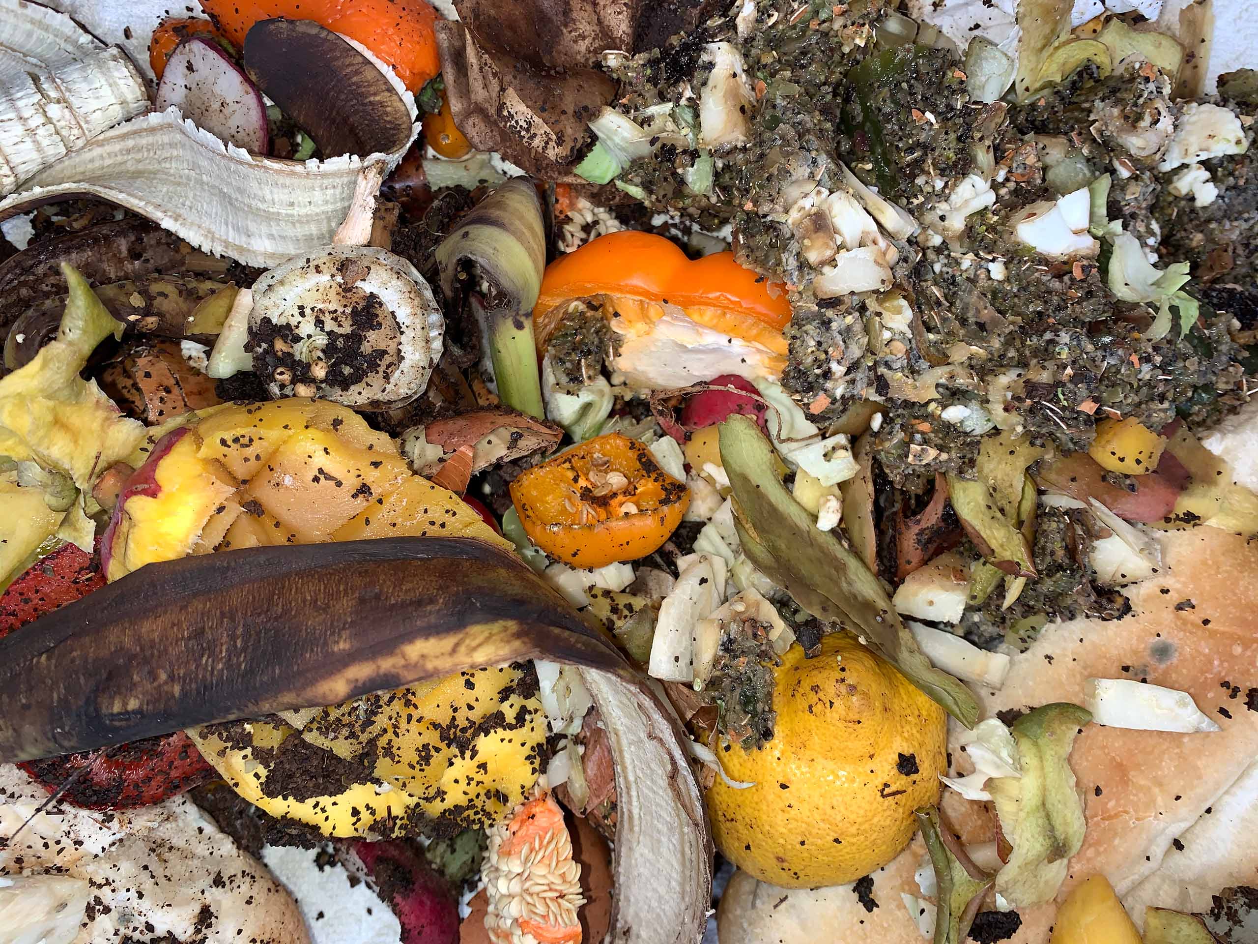 Composting Let’s Break it Down The Wild Center