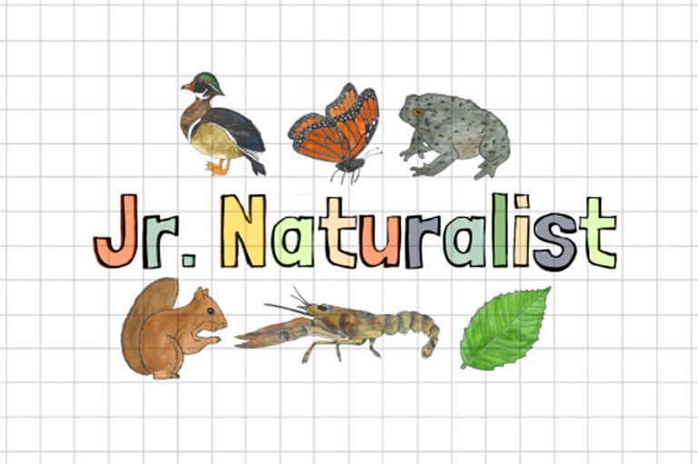 Jr. Naturalist logo