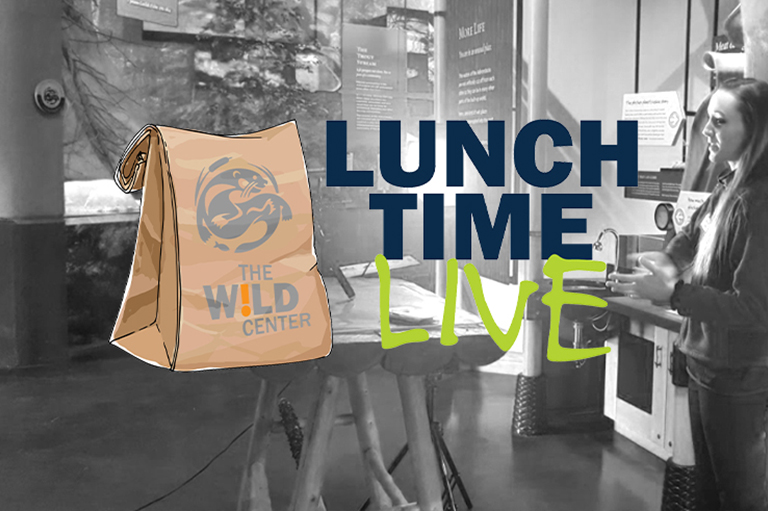 Lunch Time Live logo