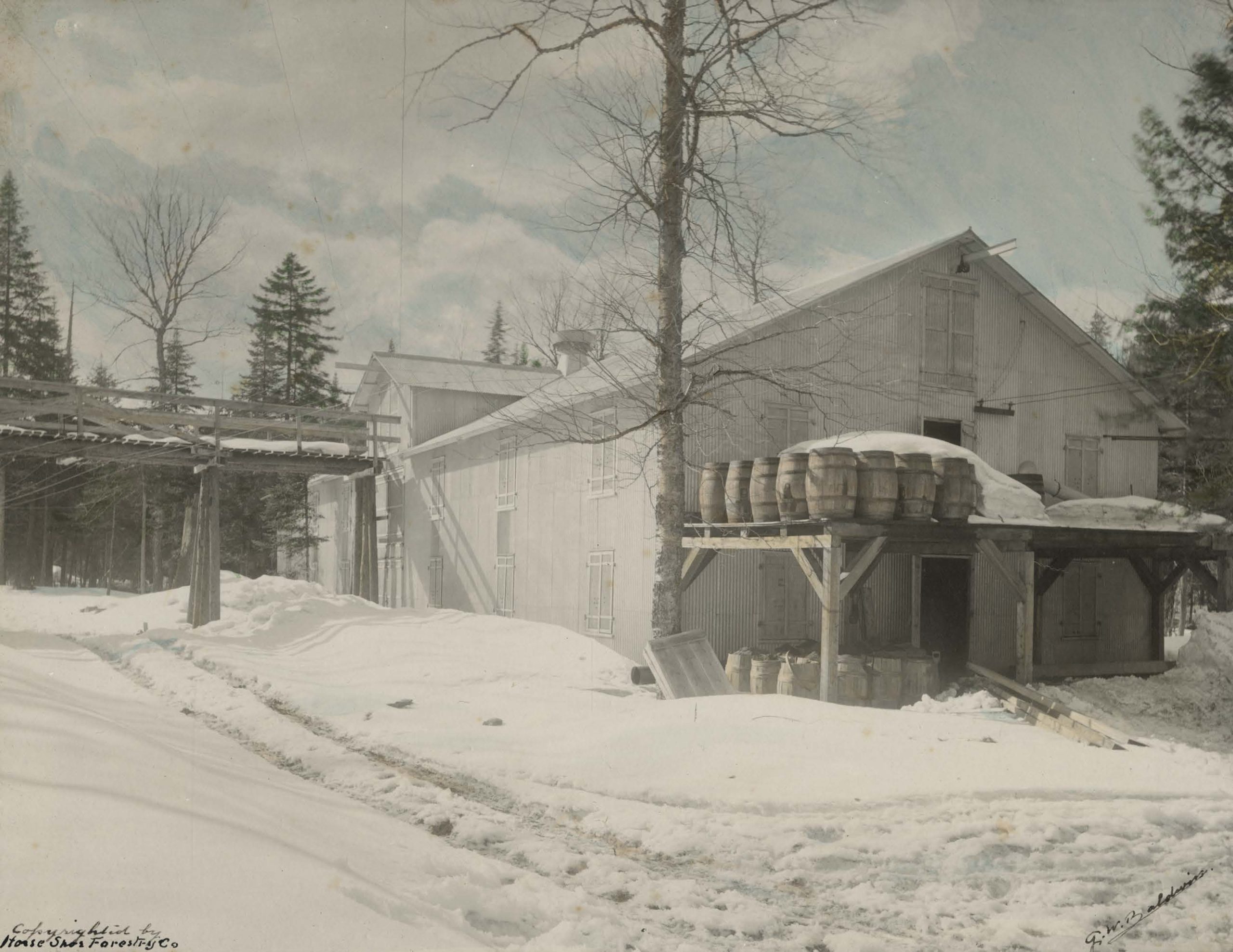 Historic photograph of Horseshoe Forestry Company building