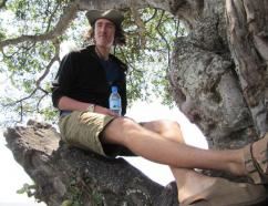 Man relaxing in tree