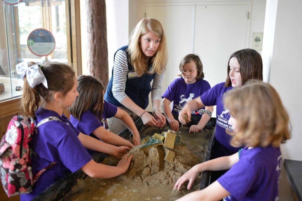 Wild Center guide using interactive sand and sponge exhibit to teach elementary school students on a field trip