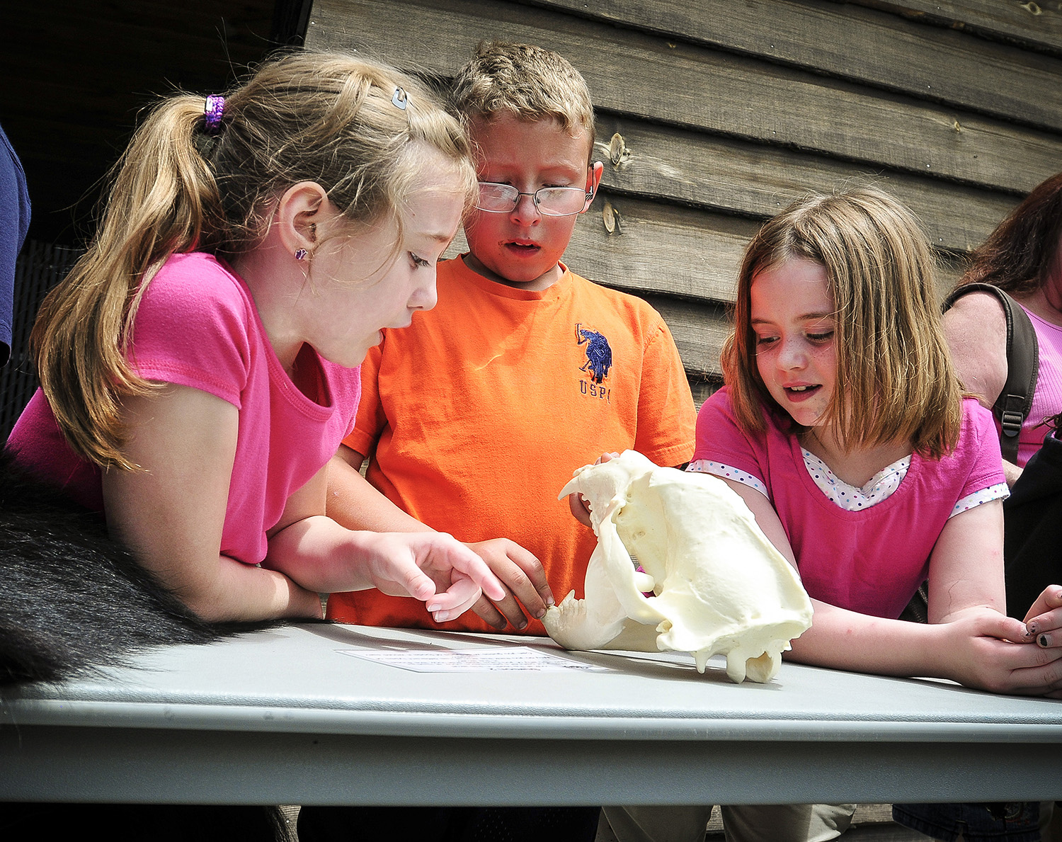 Three young students examining animal skull on table.