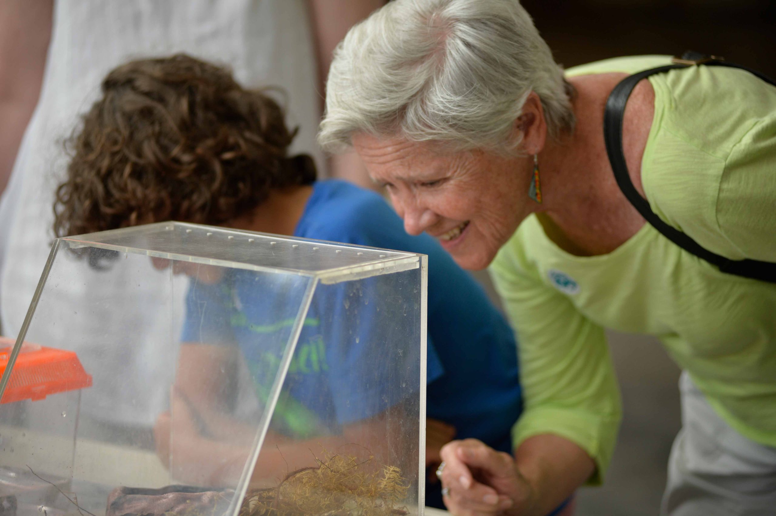 Woman observing plant exhibit