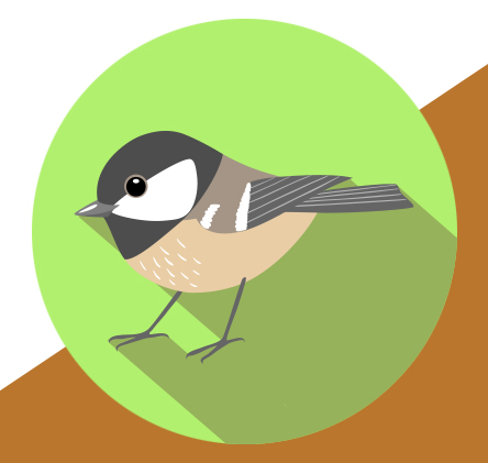 Chickadee illustration