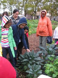 Group of students observing vegetable garden