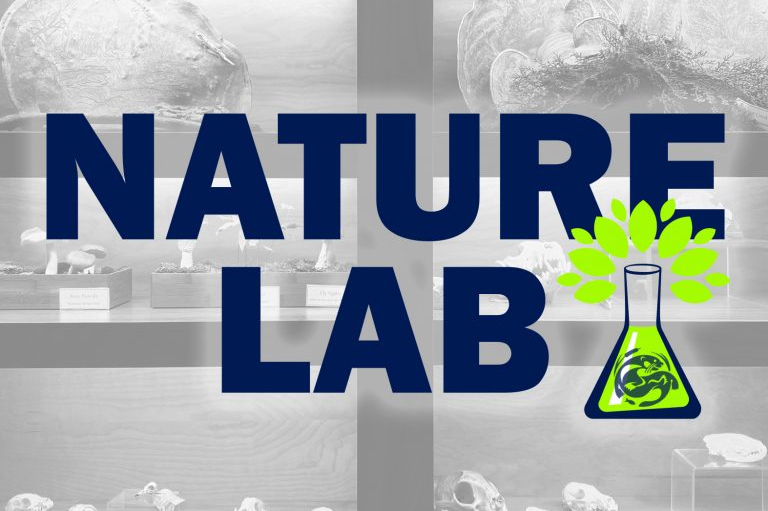 Nature Lab logo