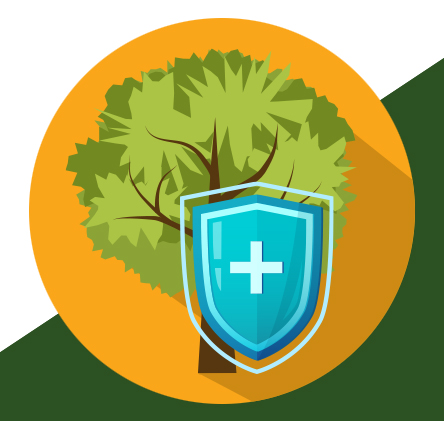 Illustration of tree with shield superimposed