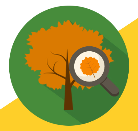 Tree illustration with magnifying glass superimposed