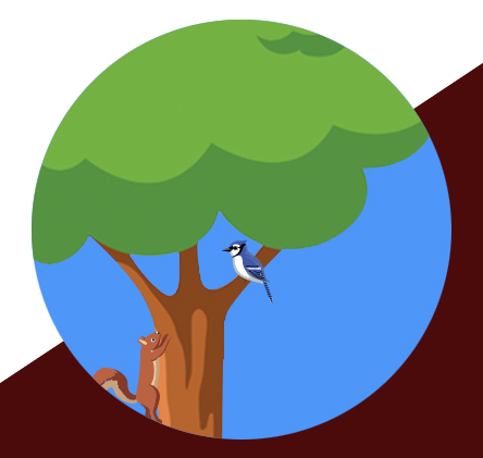 Illustration of tree with blue jay and squirrel on it