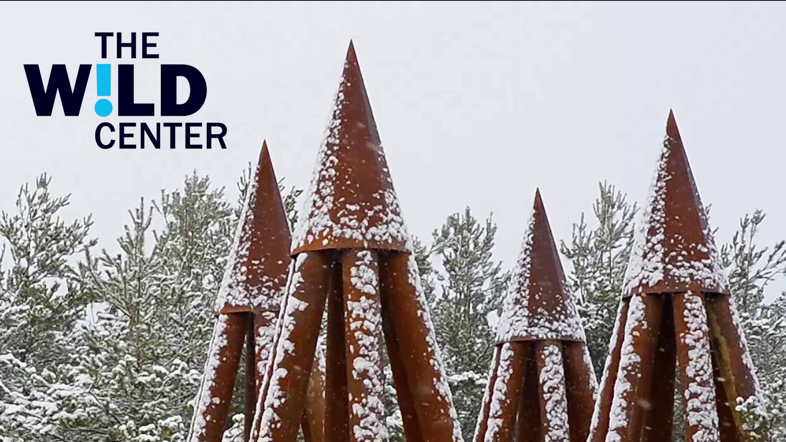 Wild Walk towers covered in winter snow in front of pine trees