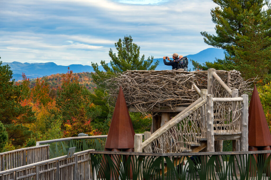 Father and infant sun in Eagle's Nest of Wild Walk