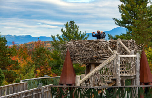 Father and infant sun in Eagle's Nest of Wild Walk