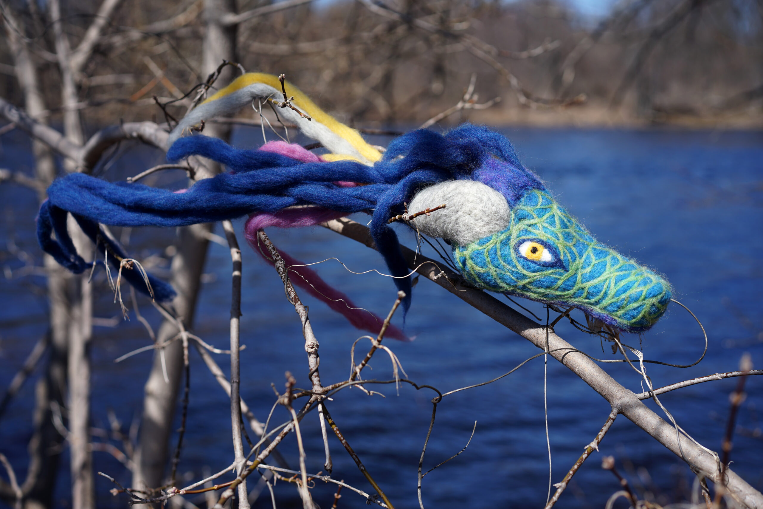 Being the Voice of Water: An Ecocentric Storytelling Workshop with Talking Wings