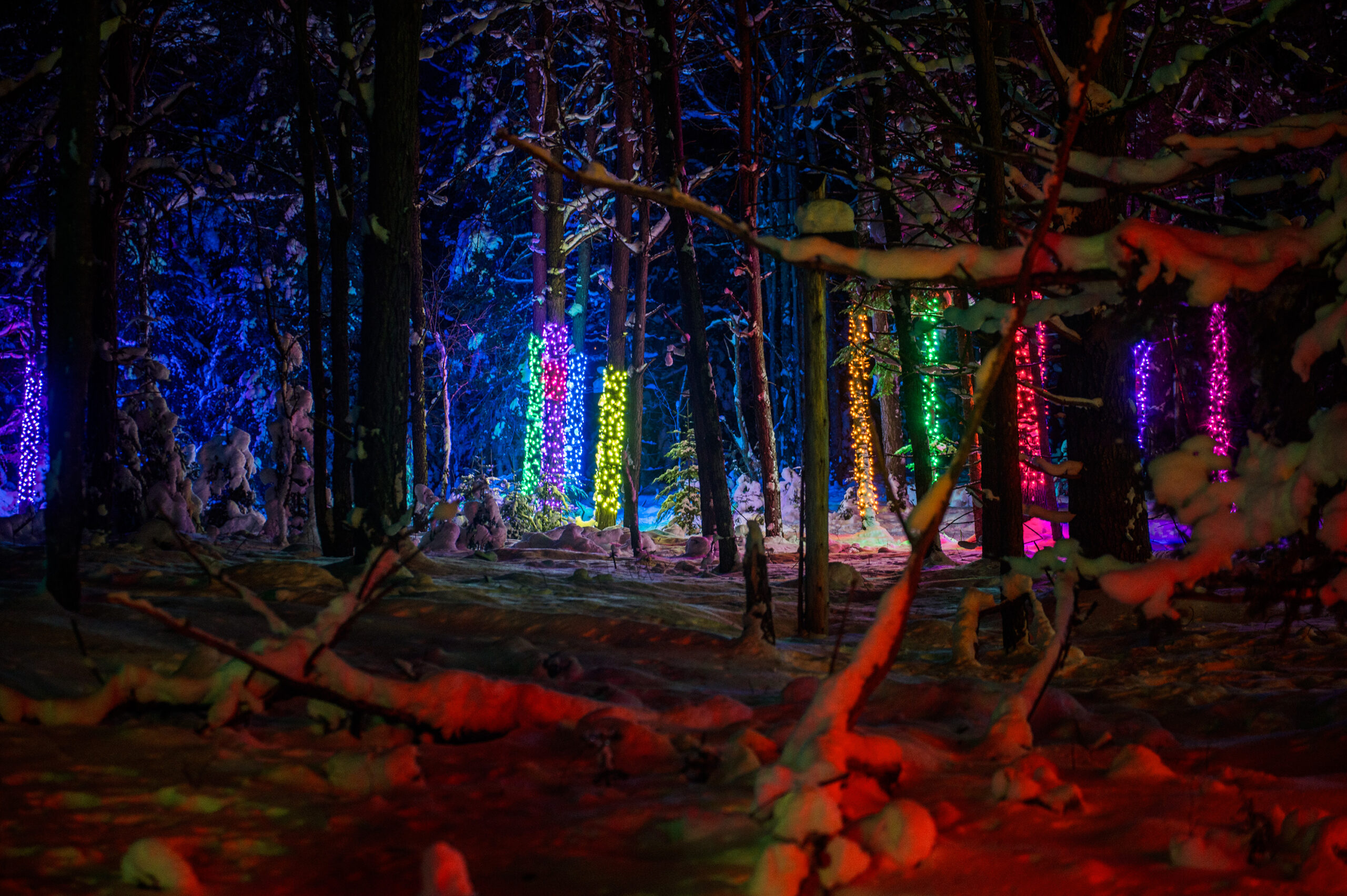 Wild Lights presented by Merrill L. Thomas, Inc.