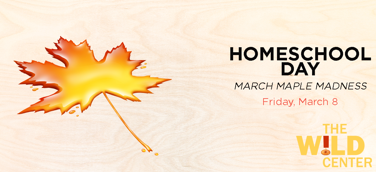 Homeschool Days: March Maple Madness