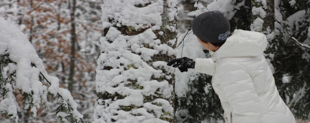 Guided Sensory Snowshoe Walk with Adirondack Riverwalking