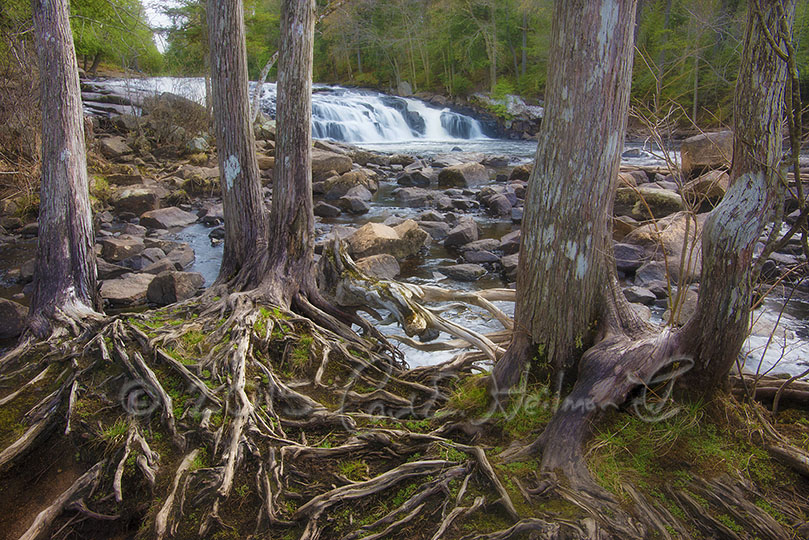 Spring Lakes and Waterfalls Photo Tour with Carl Heilman II