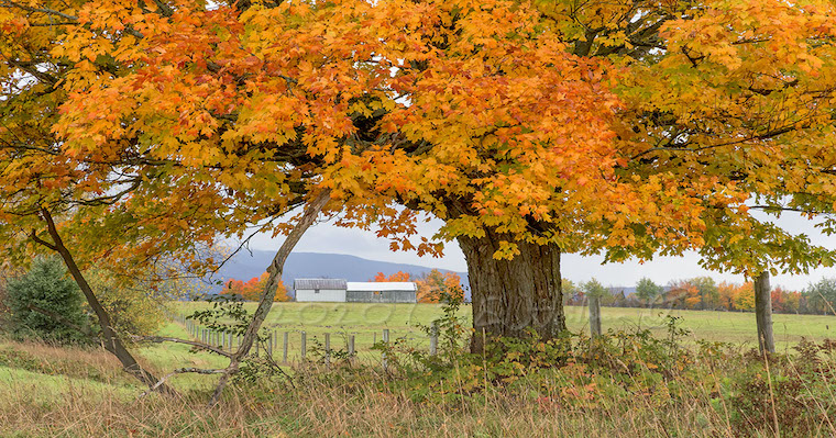 Fall Landscapes and Waterways Photography Tour with Carl Heilman II