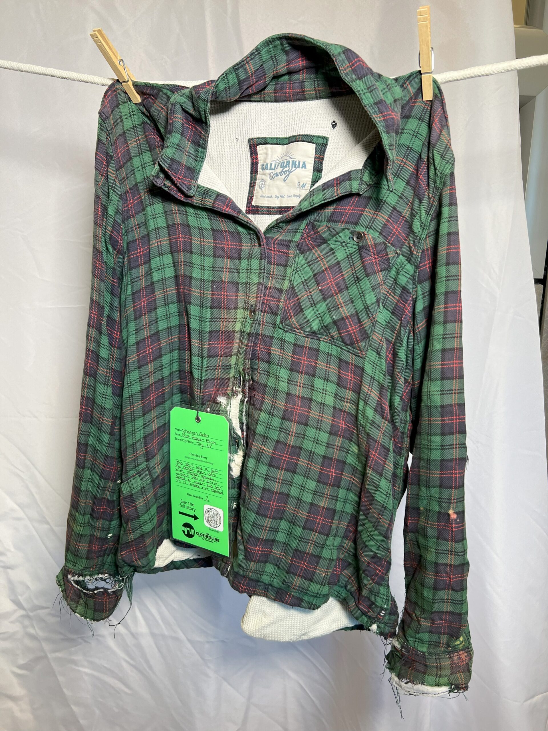 The Clothesline at The Wild Center