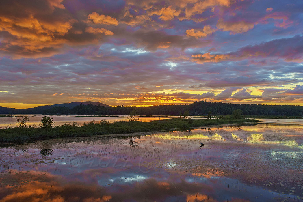 Summer Landscapes and Full Moon Rising Photography Tour with Carl Heilman II