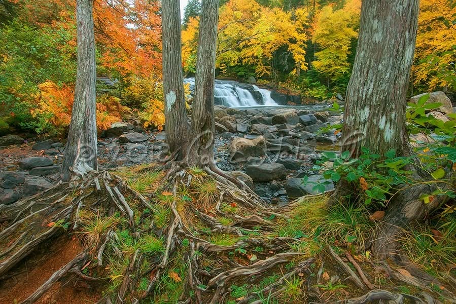 Fall Landscapes and Waterways Photography Tour with Carl Heilman II