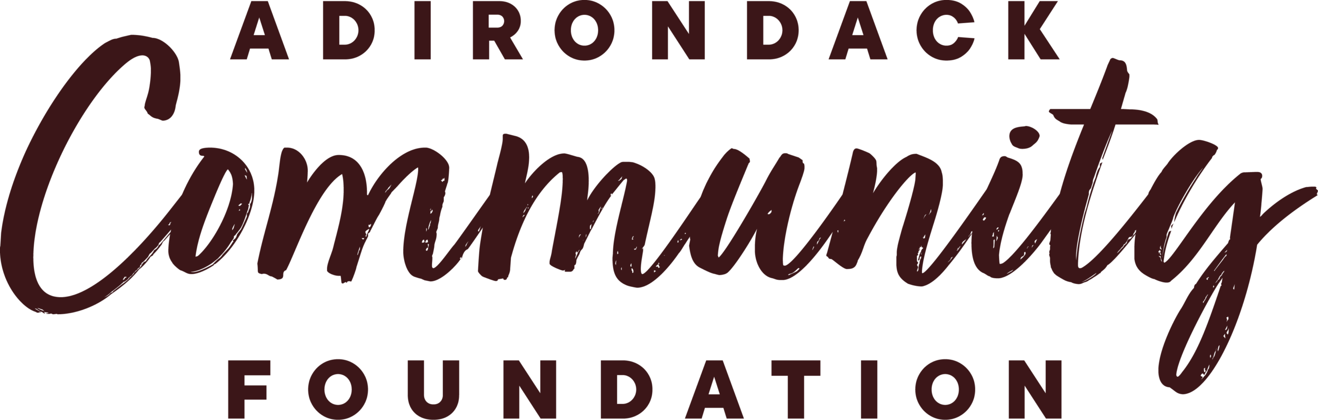 The words Adirondack Community Foundation in brown lettering.