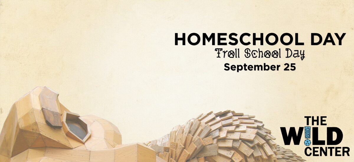 Homeschool Day