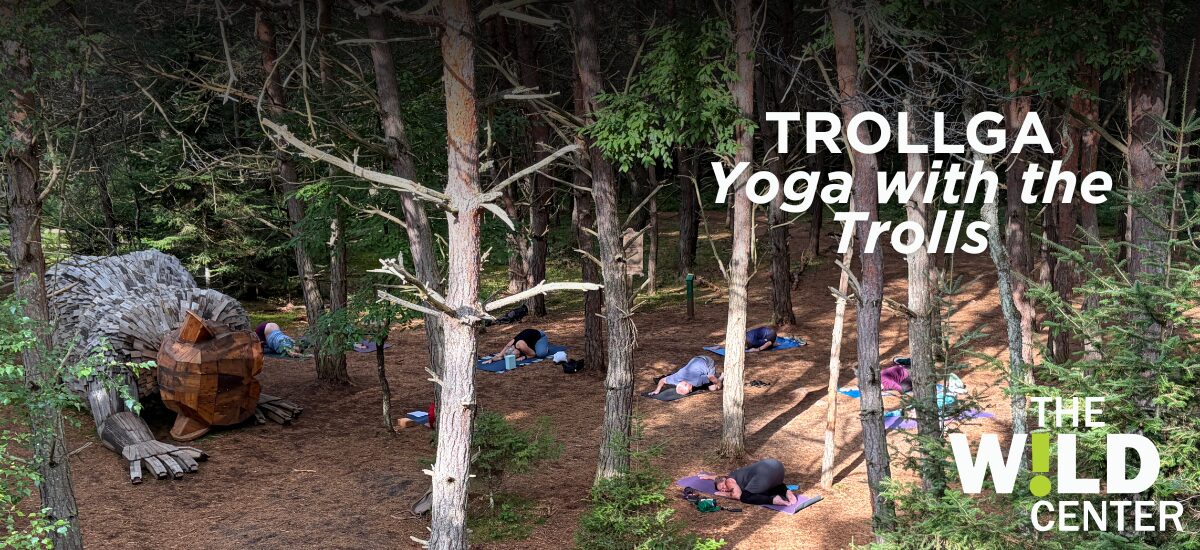 Trollga: Yoga with the Trolls