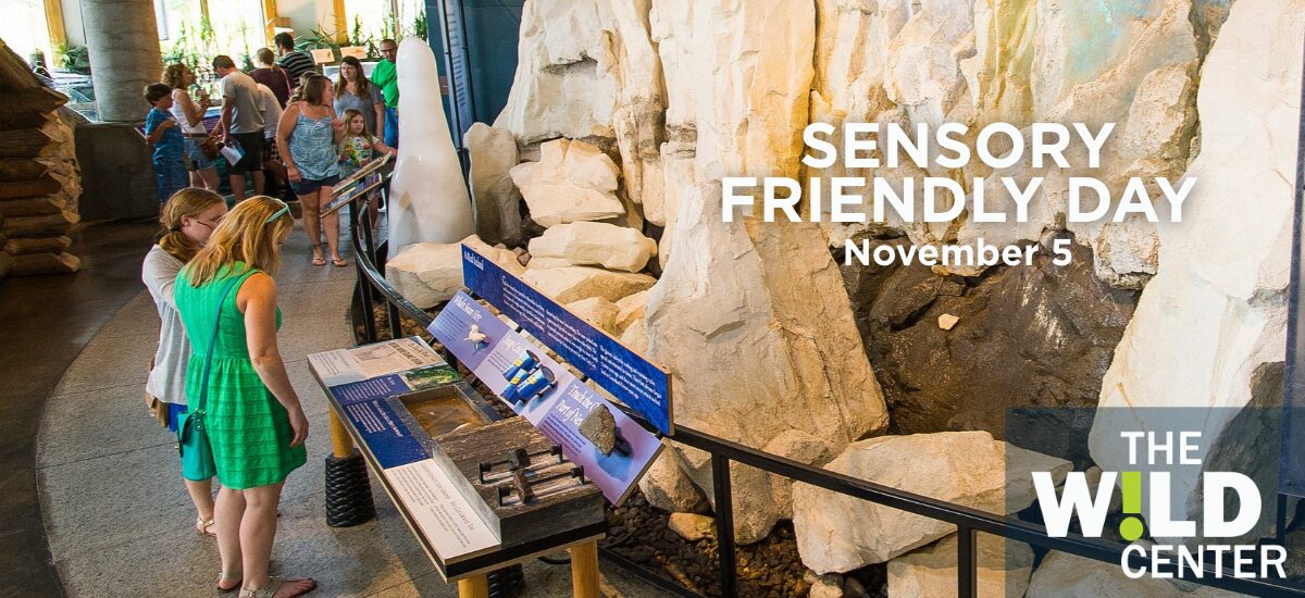 Sensory Friendly Day